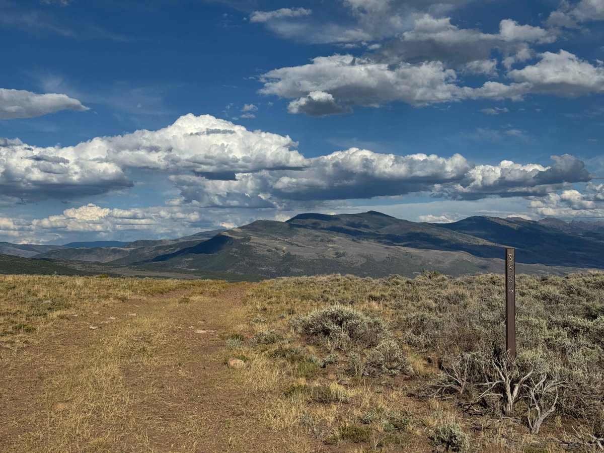 BLM 8536 trail photo