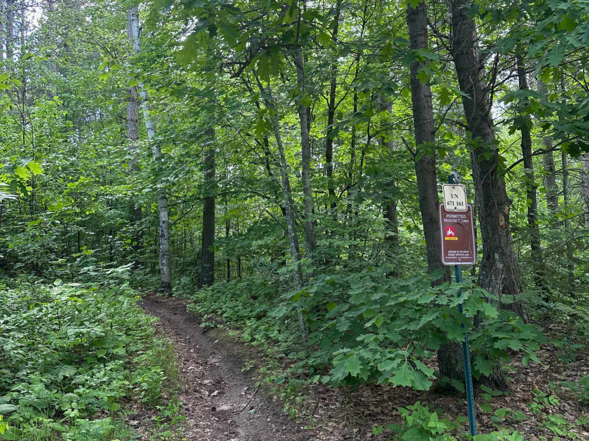 Bird Watcher trail photo