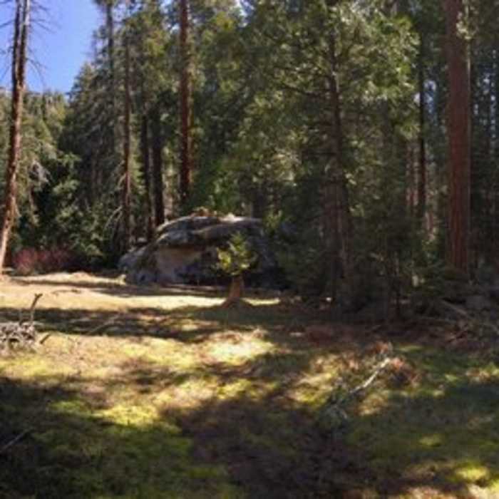 Near Redwood Mountain Grove: Hart Trail & Sugar Bowl Trail Loops