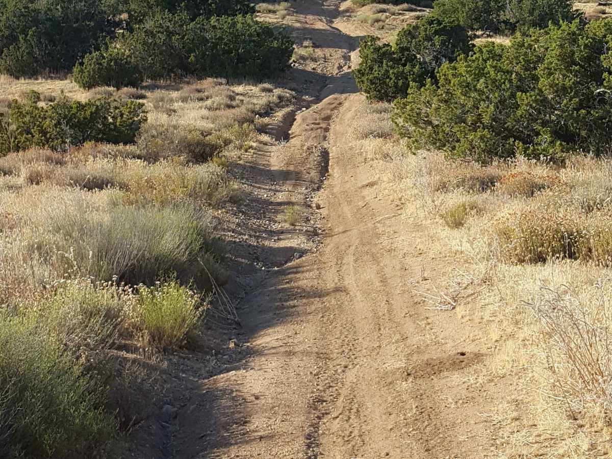Trail 17 photo 6
