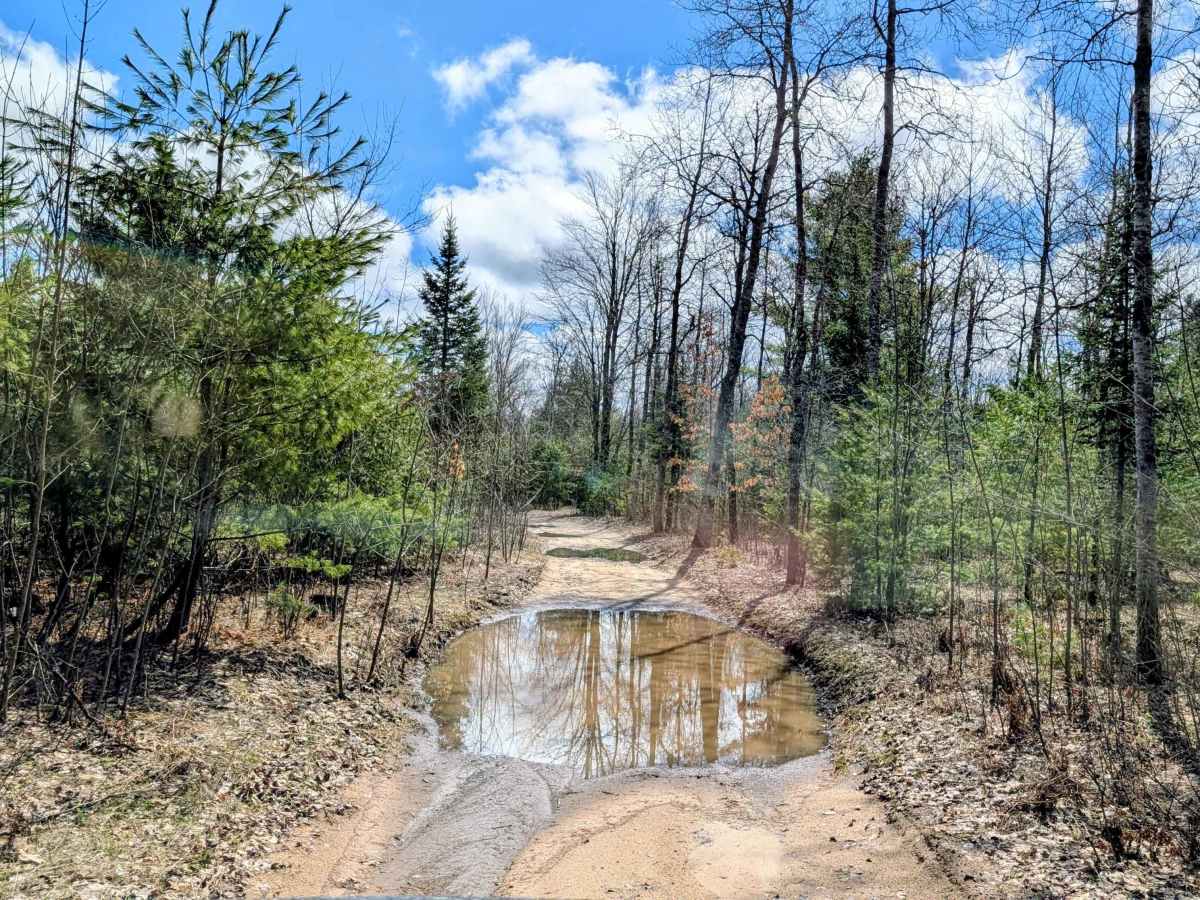 Creighton Road Southwest trail photo