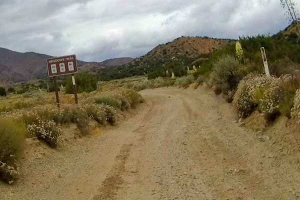 Meadows Trail