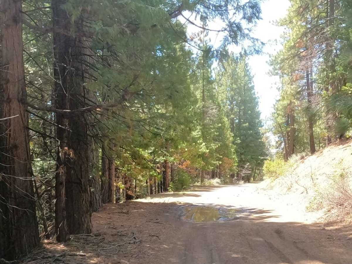 Bonta Creek - NF23N33 photo 4