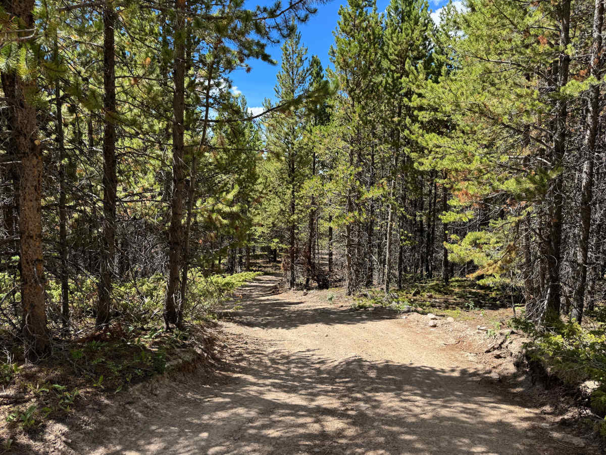 Cliff Lake Road photo 6