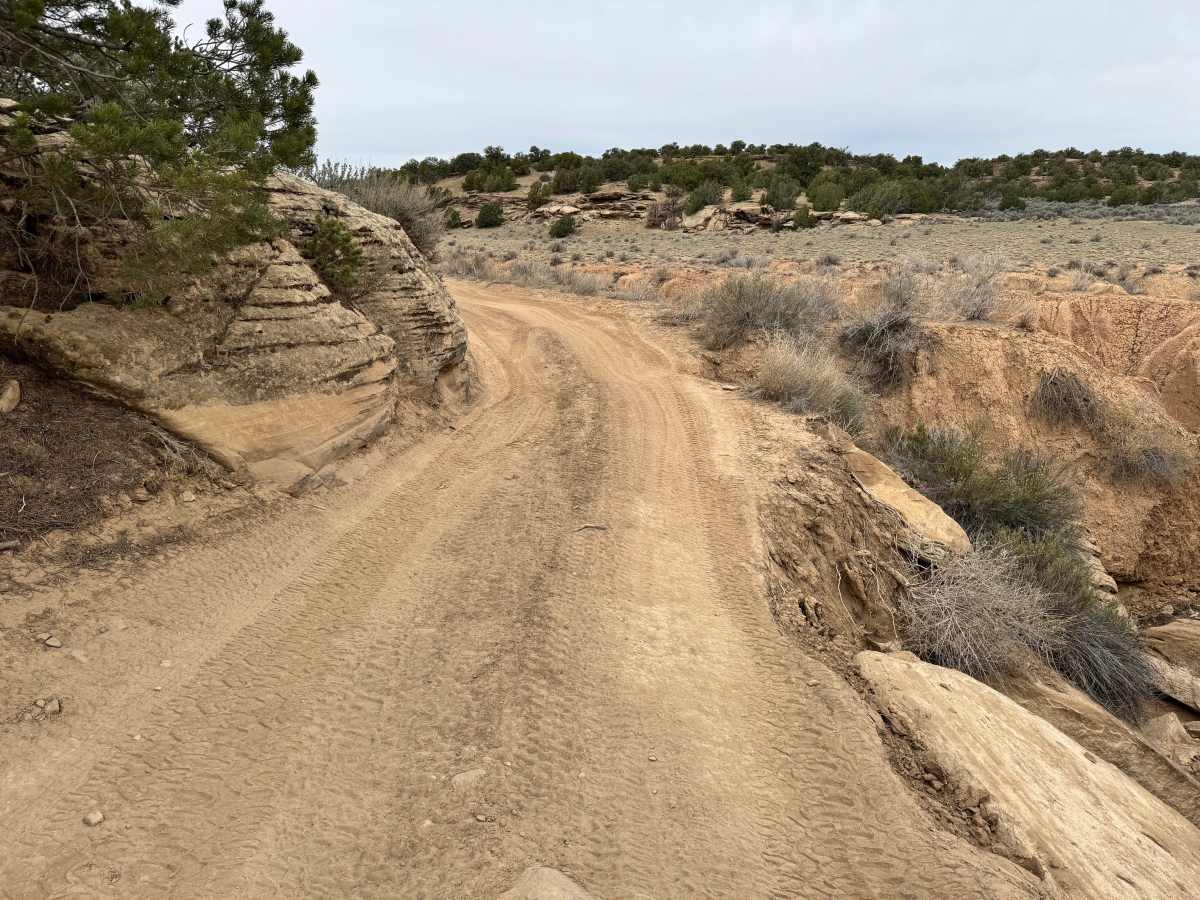 Earl's Draw trail photo