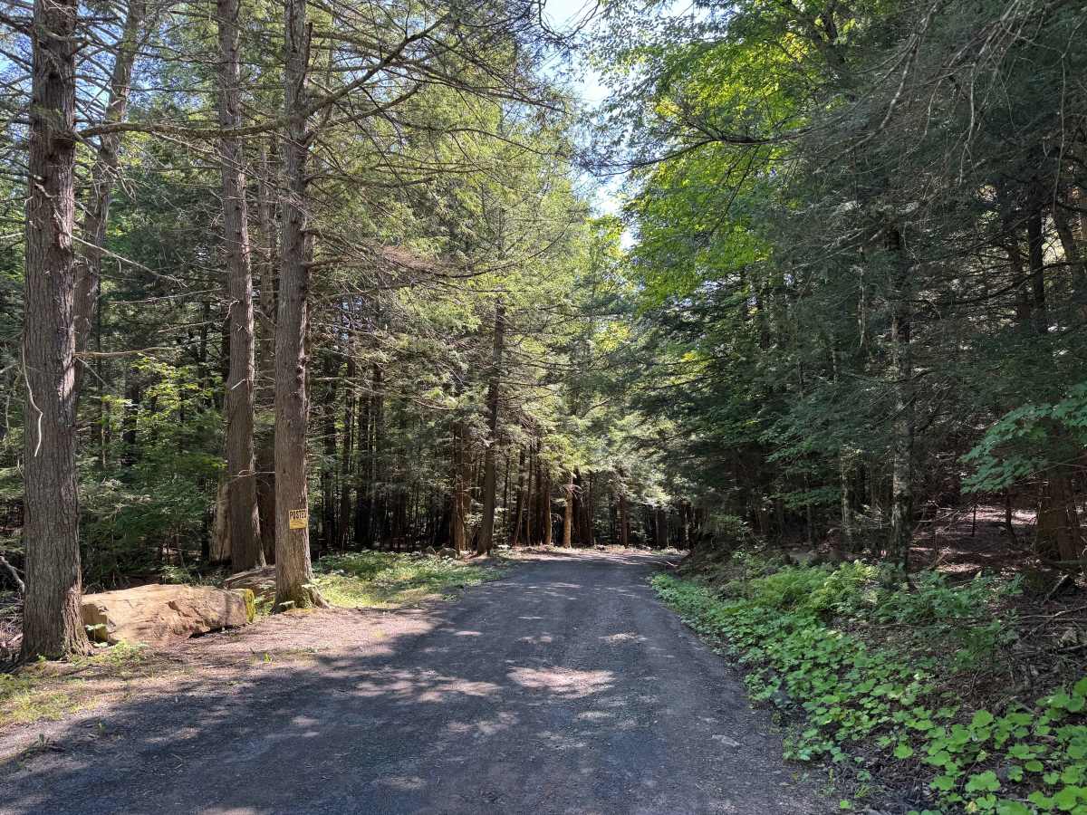 Mill Hollow Road photo 2