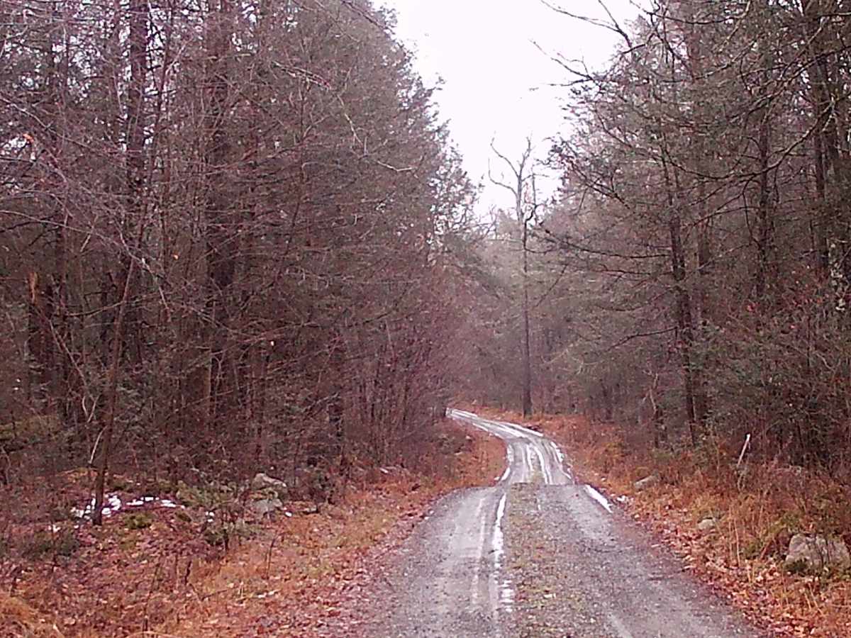 Huckle Run Road photo 2