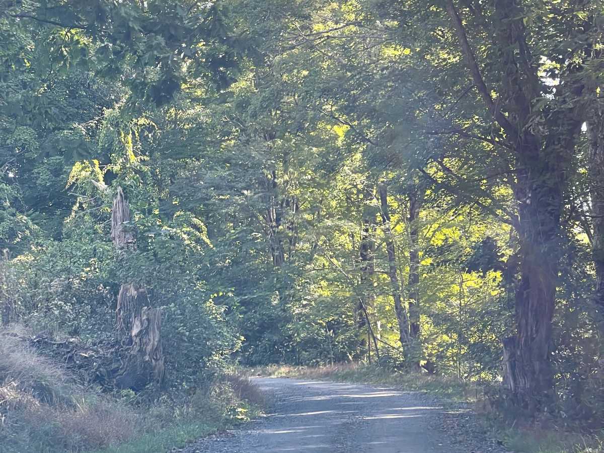 Mill Ridge photo 3