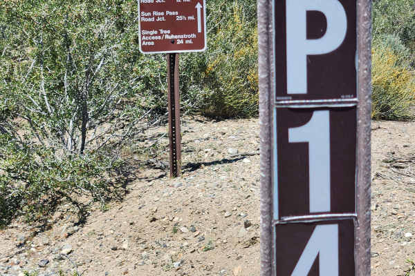 Pine Nut Valley Road - BLM P-14