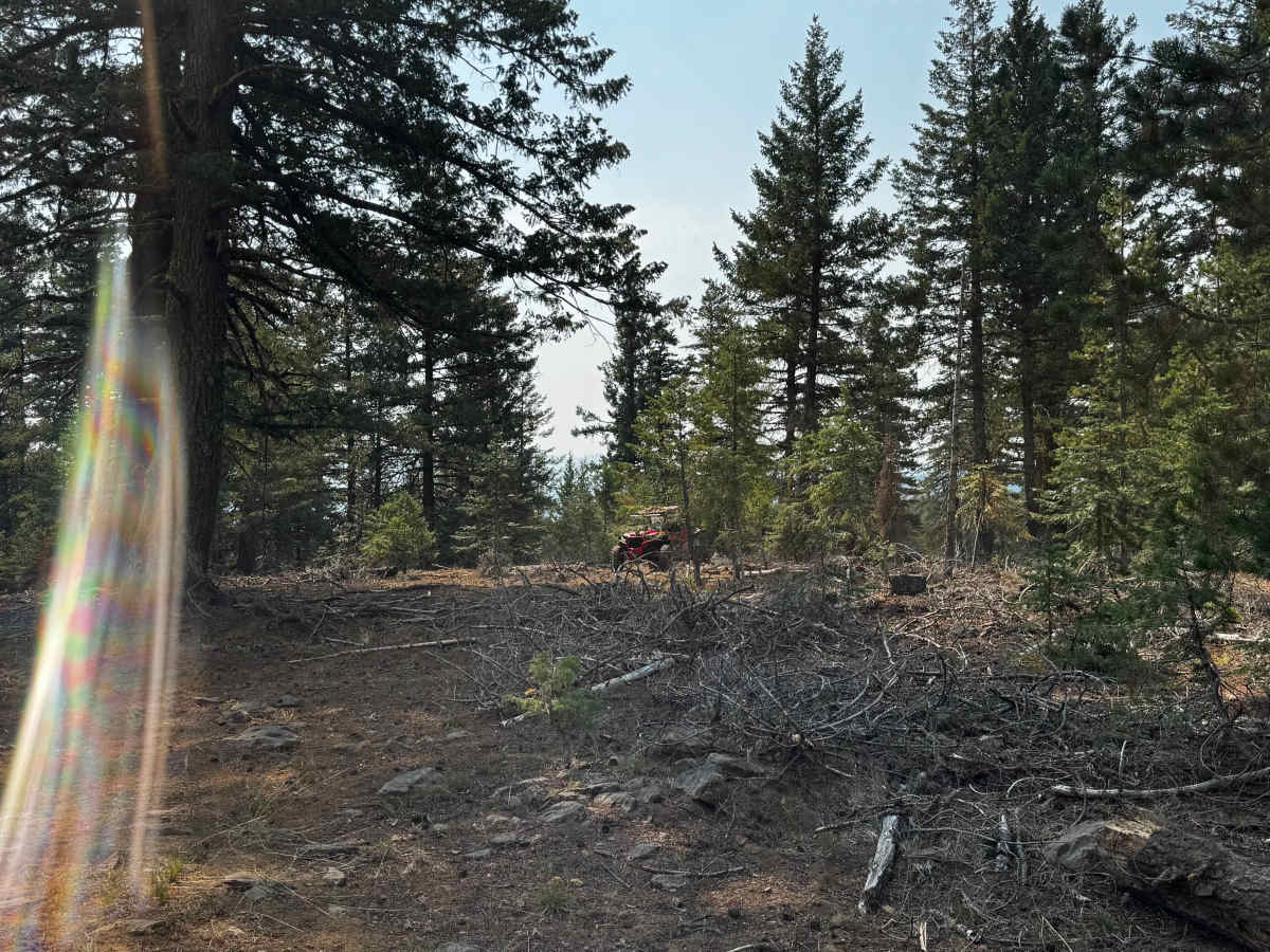 Elk Mountain Loop trail photo