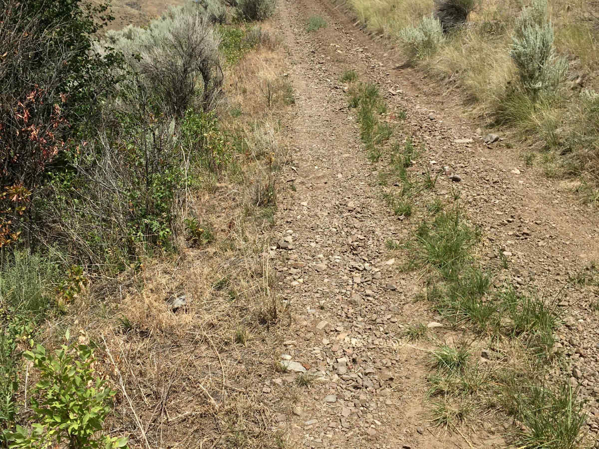 Agency - Yearian ATV Connector photo 3