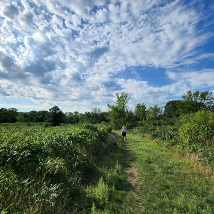 Heading south on the Mazomani Trail. Near Louisville Swamp 3-Mile Loop