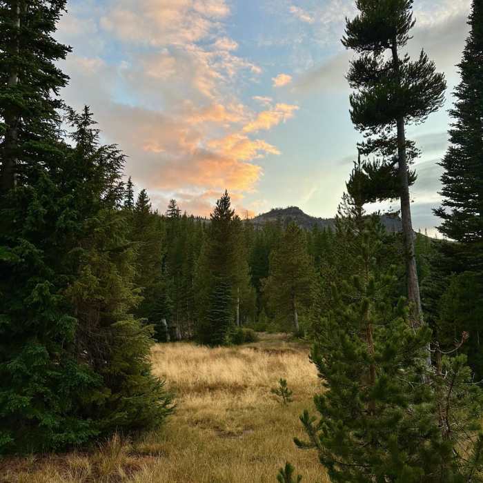 Near Three Creek Lake Loop