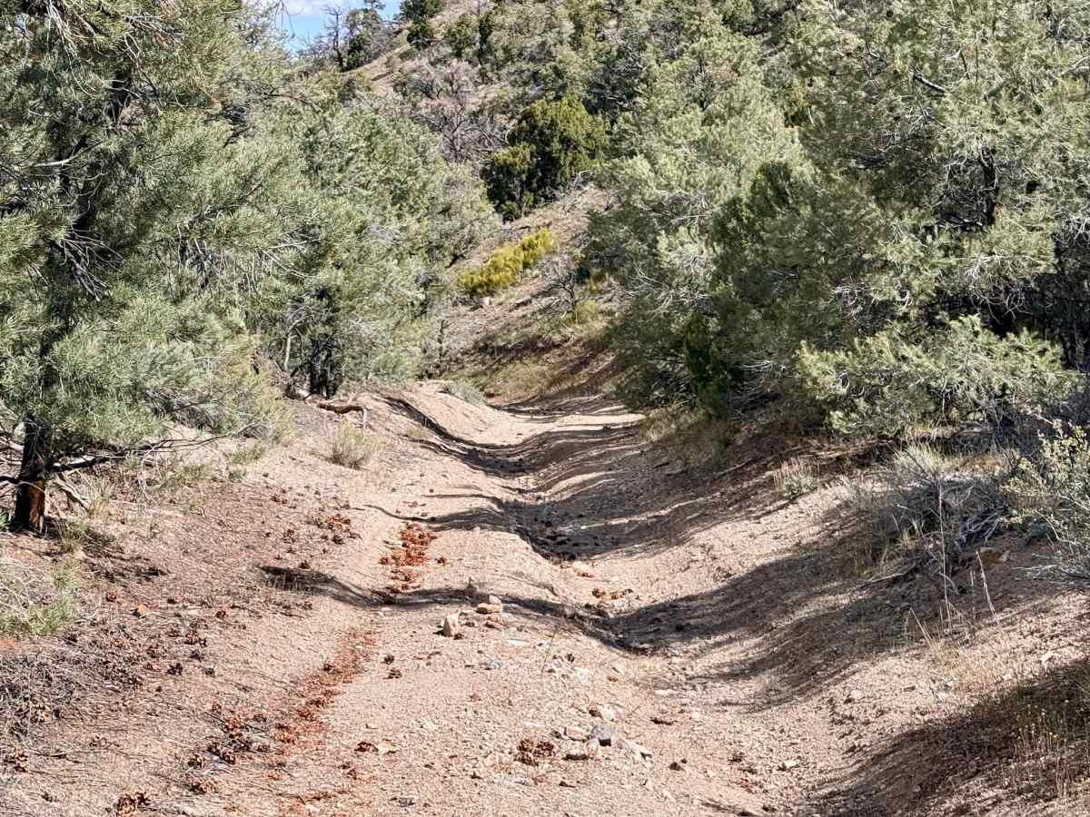 Four Mile Spring Bypass - FS 44428 photo 3