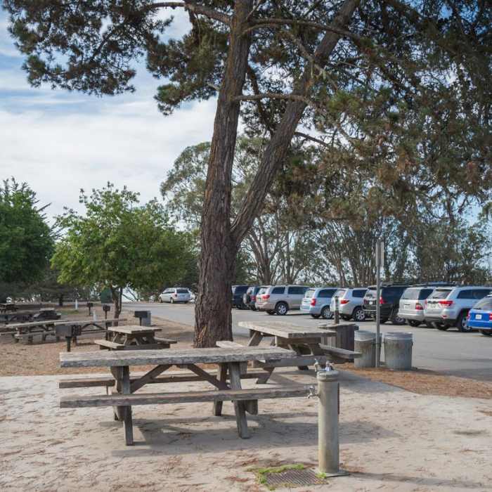 Near Monarch Trail Hike