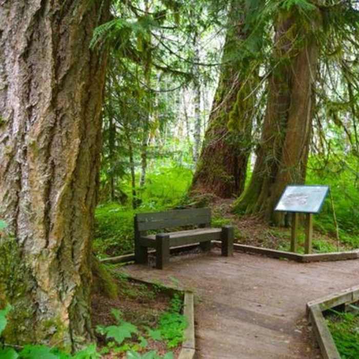 Near Lost Creek Nature Trail #776
