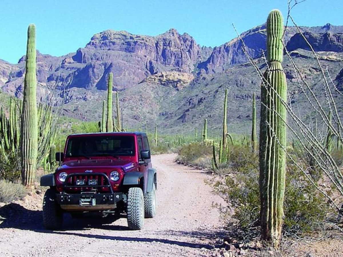 Organ Pipe Cactus Nat. Monument trail photo