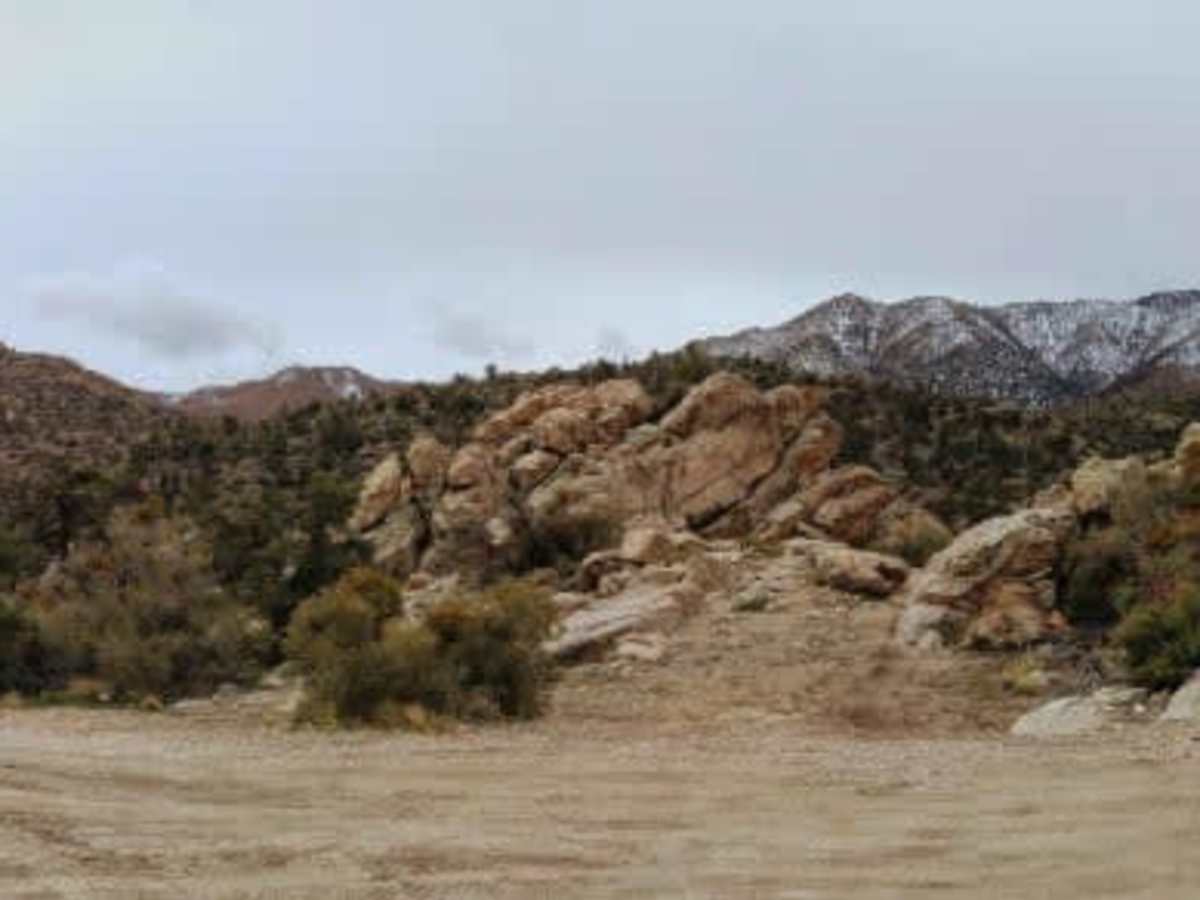 Burns Canyon Road - NF 2N02 photo 6