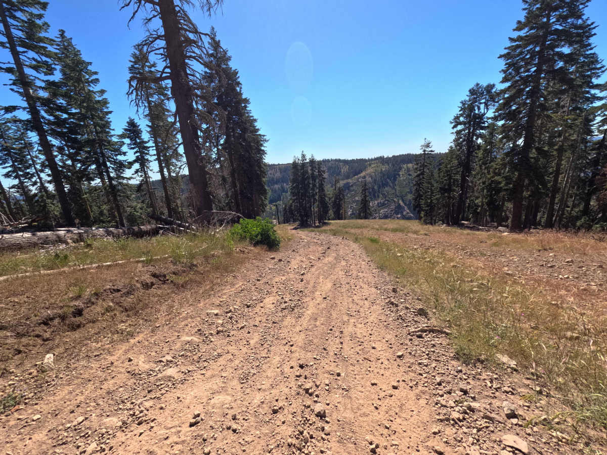FS 17EV279 photo 5