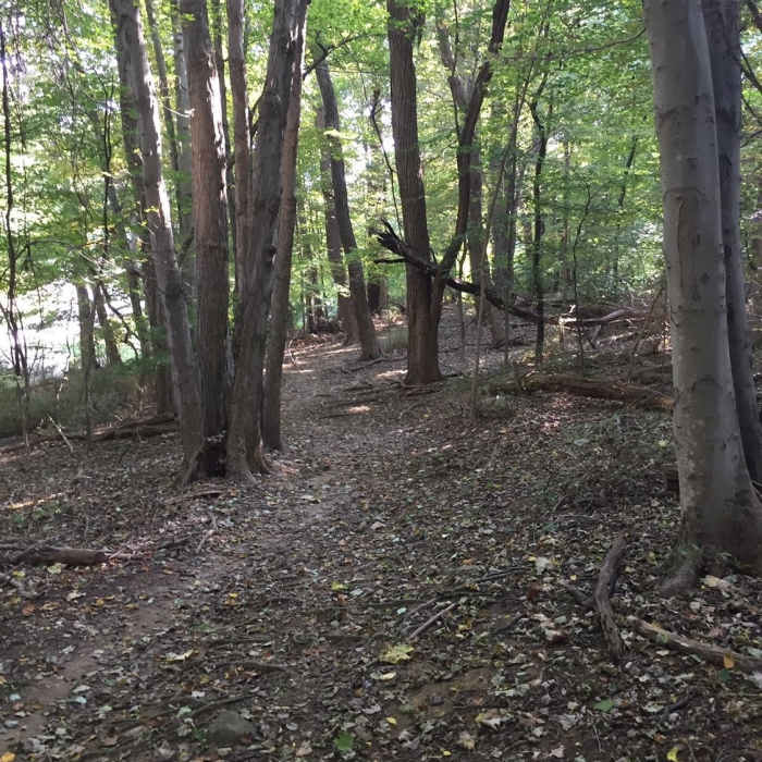 Near Kate Kennard Trail