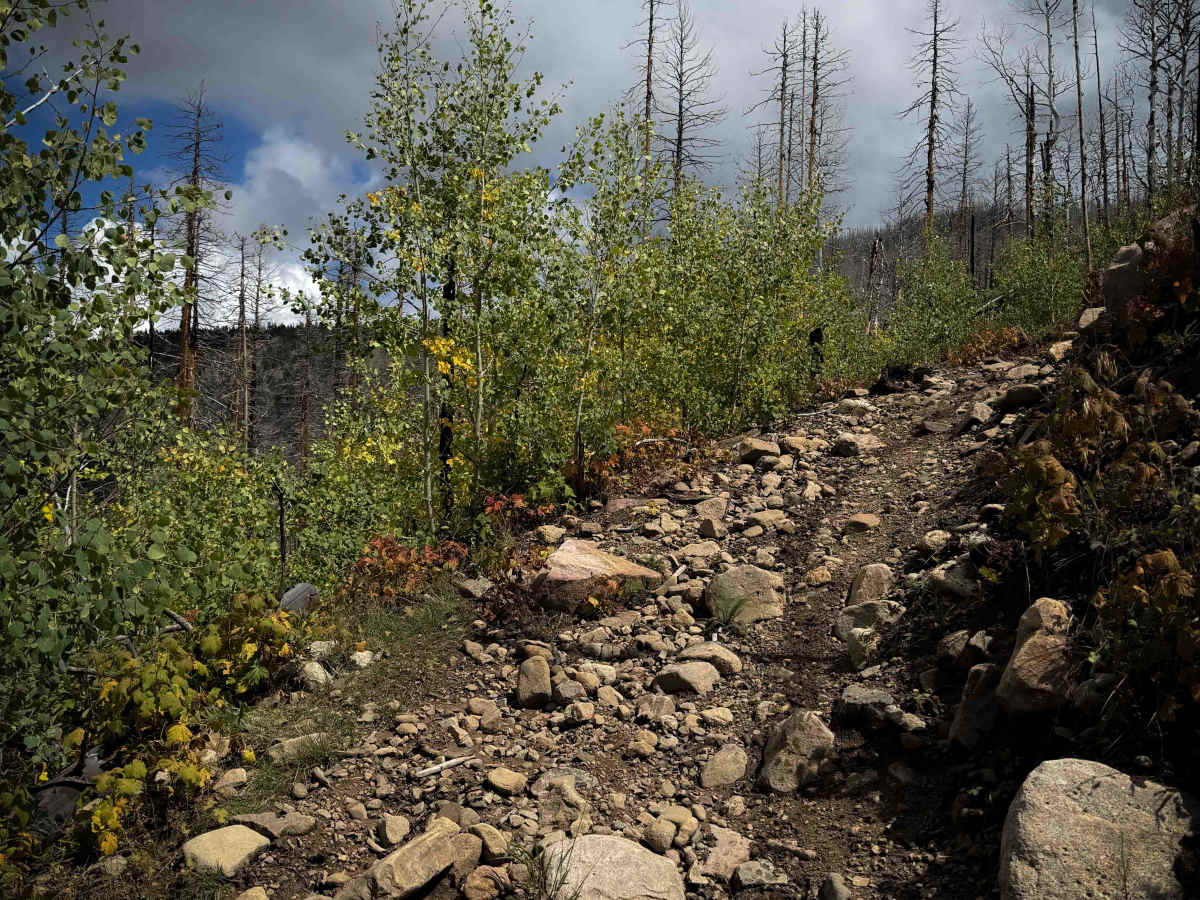 Agua Piedra Trail - FS 19A  photo 2