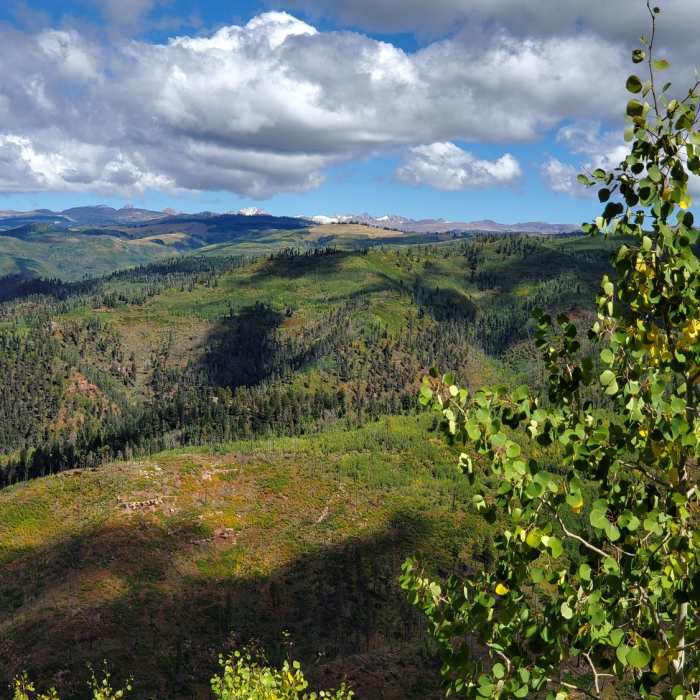 Near Missionary Ridge