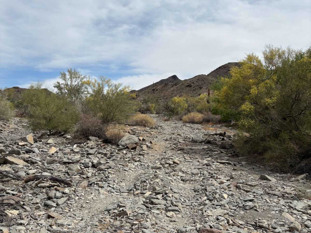BLM 0127C photo 2