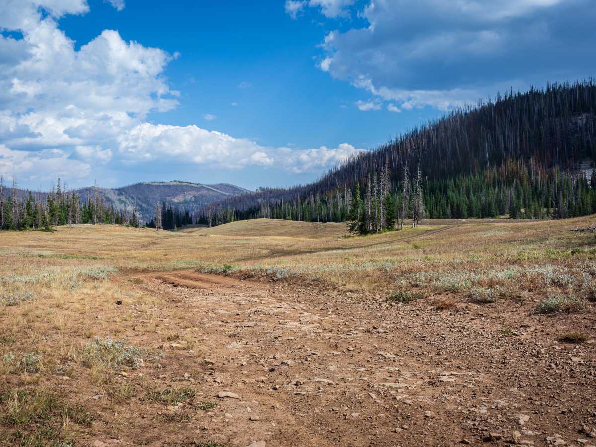 Mill Fork - FS 70580/10318 photo 2