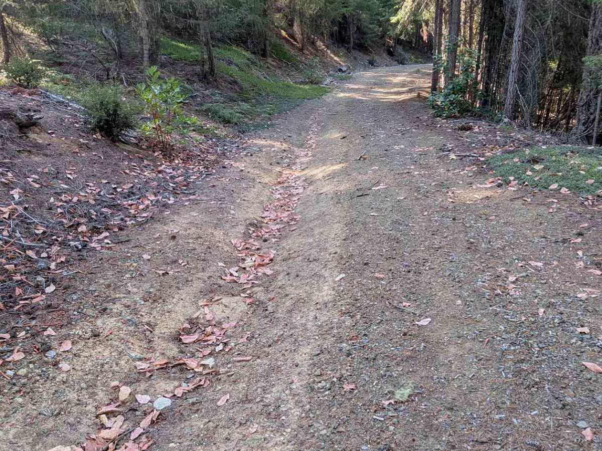 West Side Road - FS 1N30  photo 2