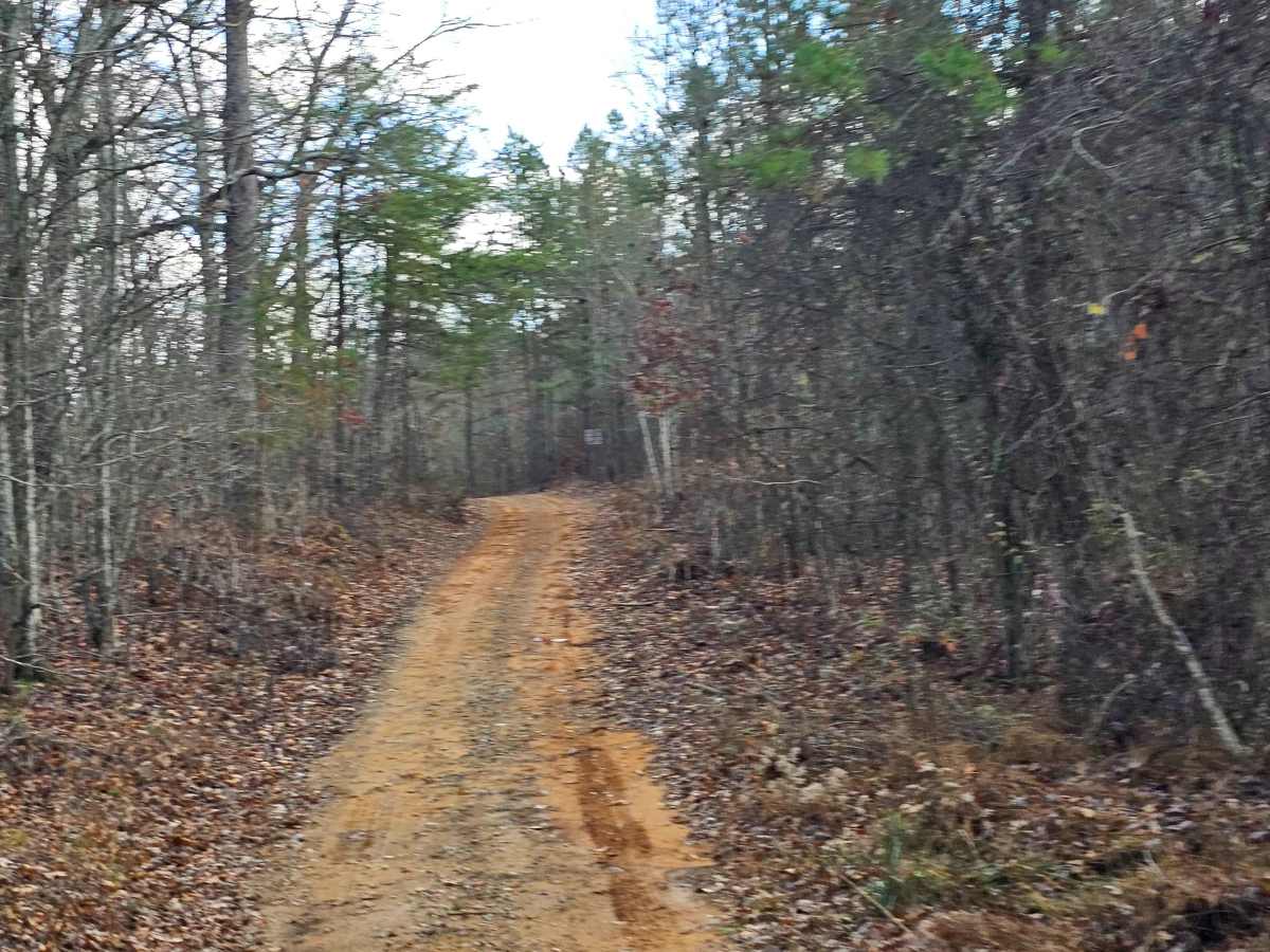 Mule Trail trail photo