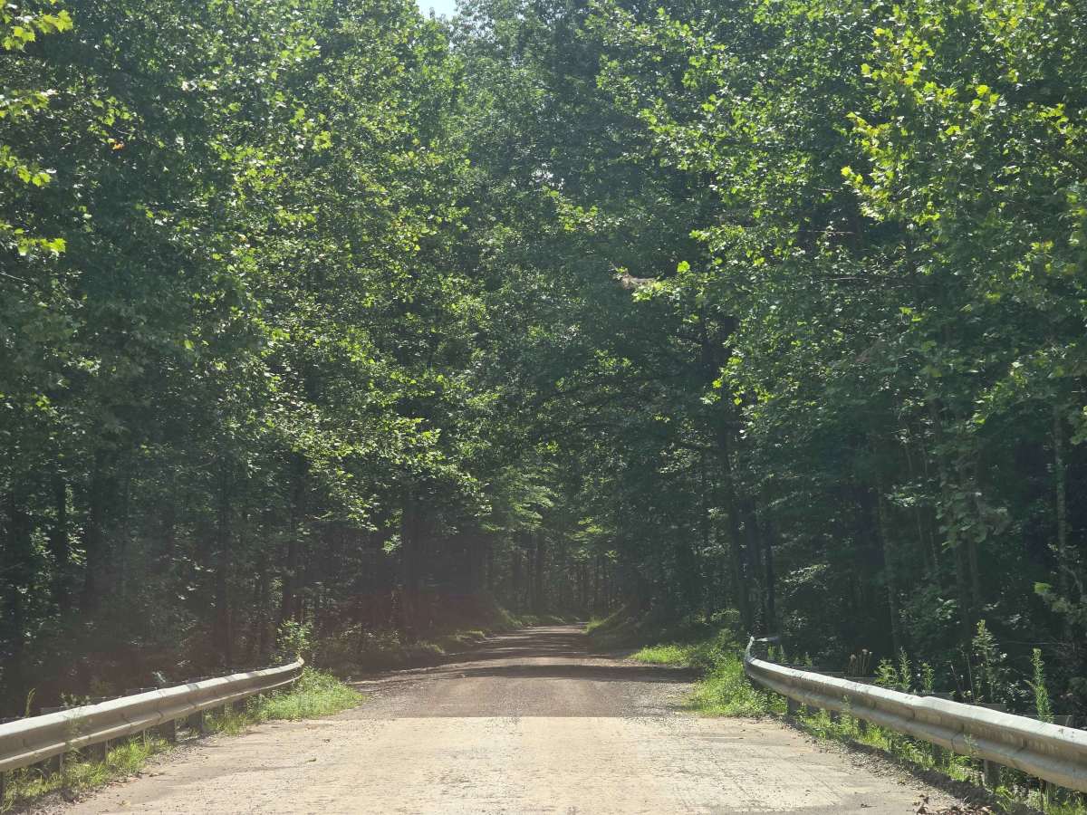 O & W Road photo 4