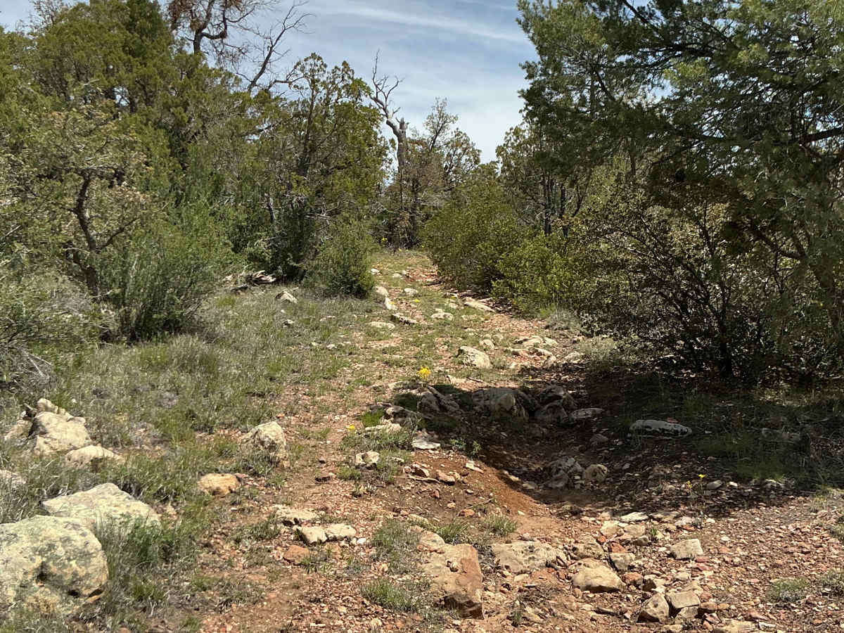 FS 9366F trail photo