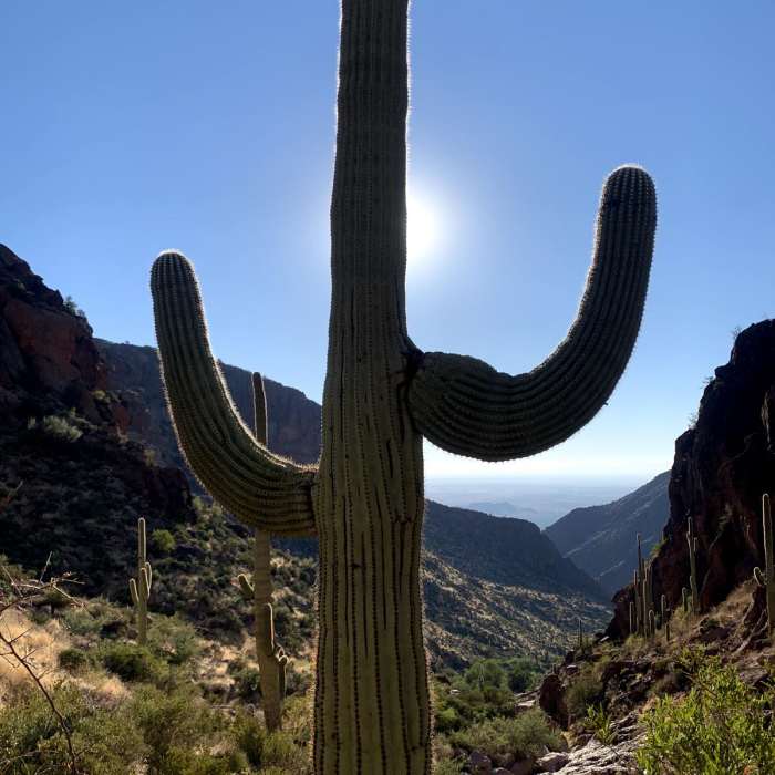 Near West Side Superstition Wilderness Loop Near West Side Superstition Wilderness Loop
