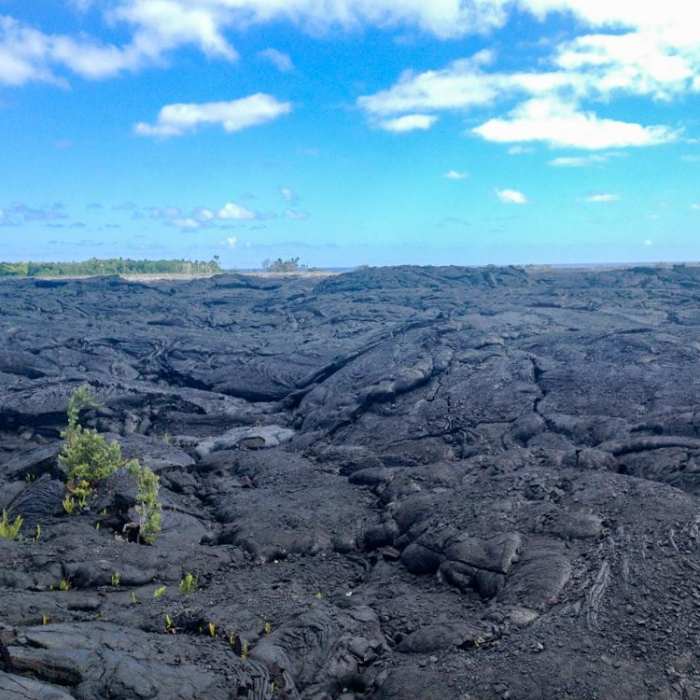 Near Kaimu Black Sand Beach Hike (New Beach) Near Kaimu Black Sand Beach Hike (New Beach)