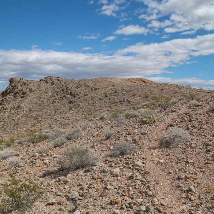 Near Rogers Spring Overlook