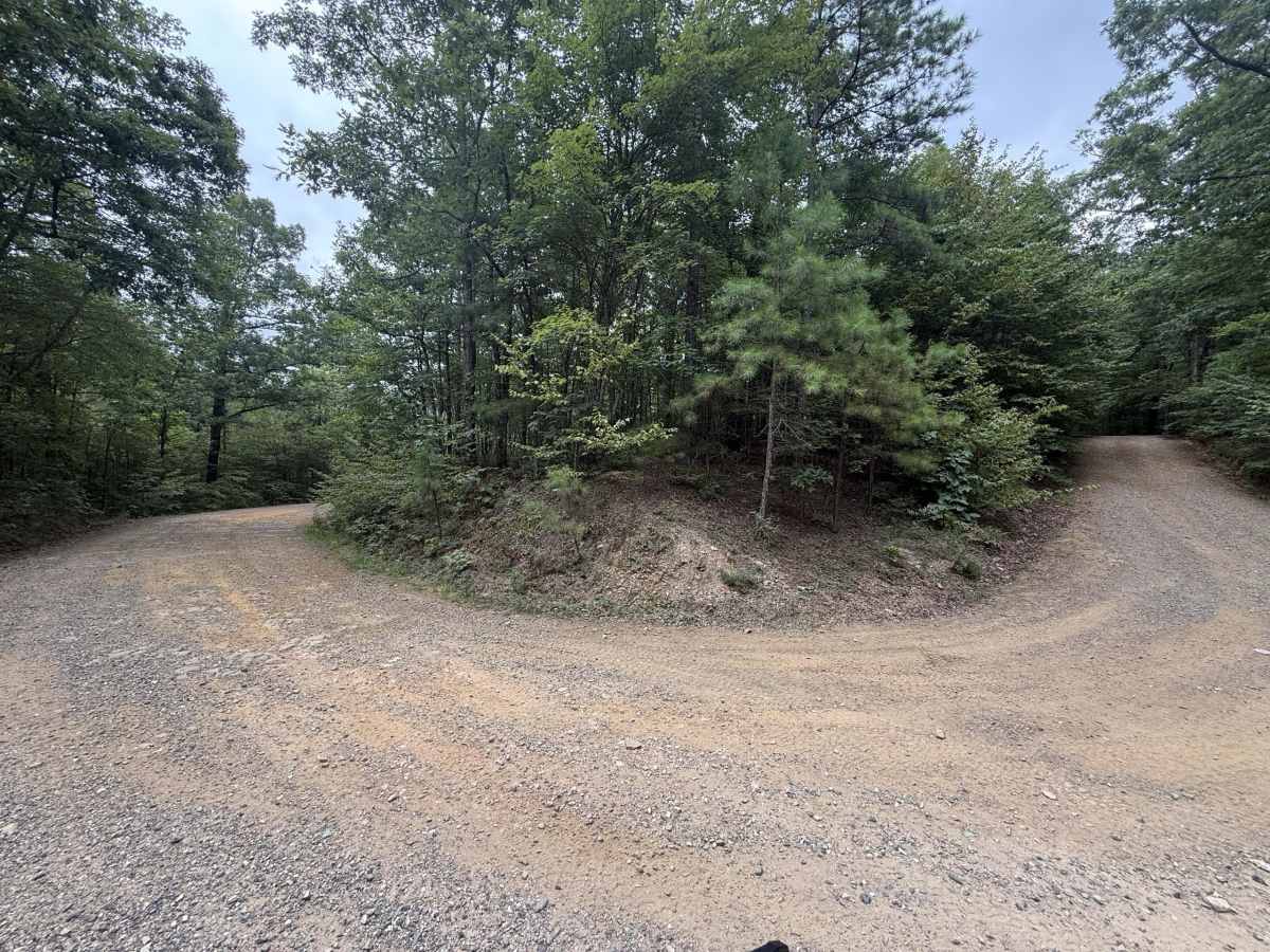 Polk County Road 79 photo 4