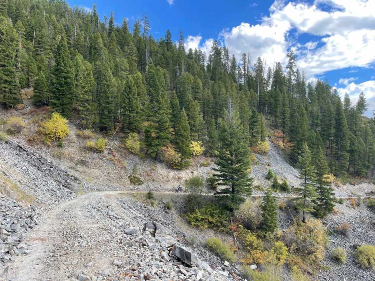 Weasel Creek trail photo