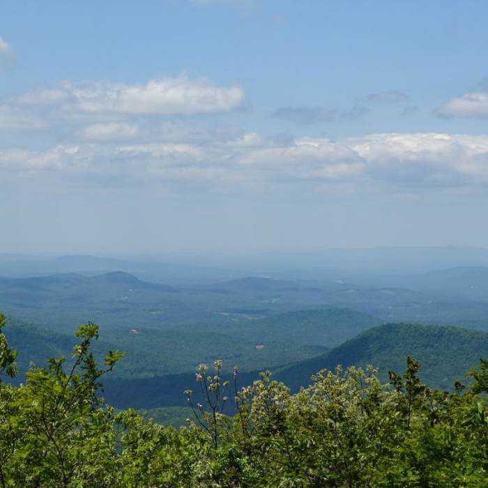 Near Springer Mountain Loop via Len Foote Inn
