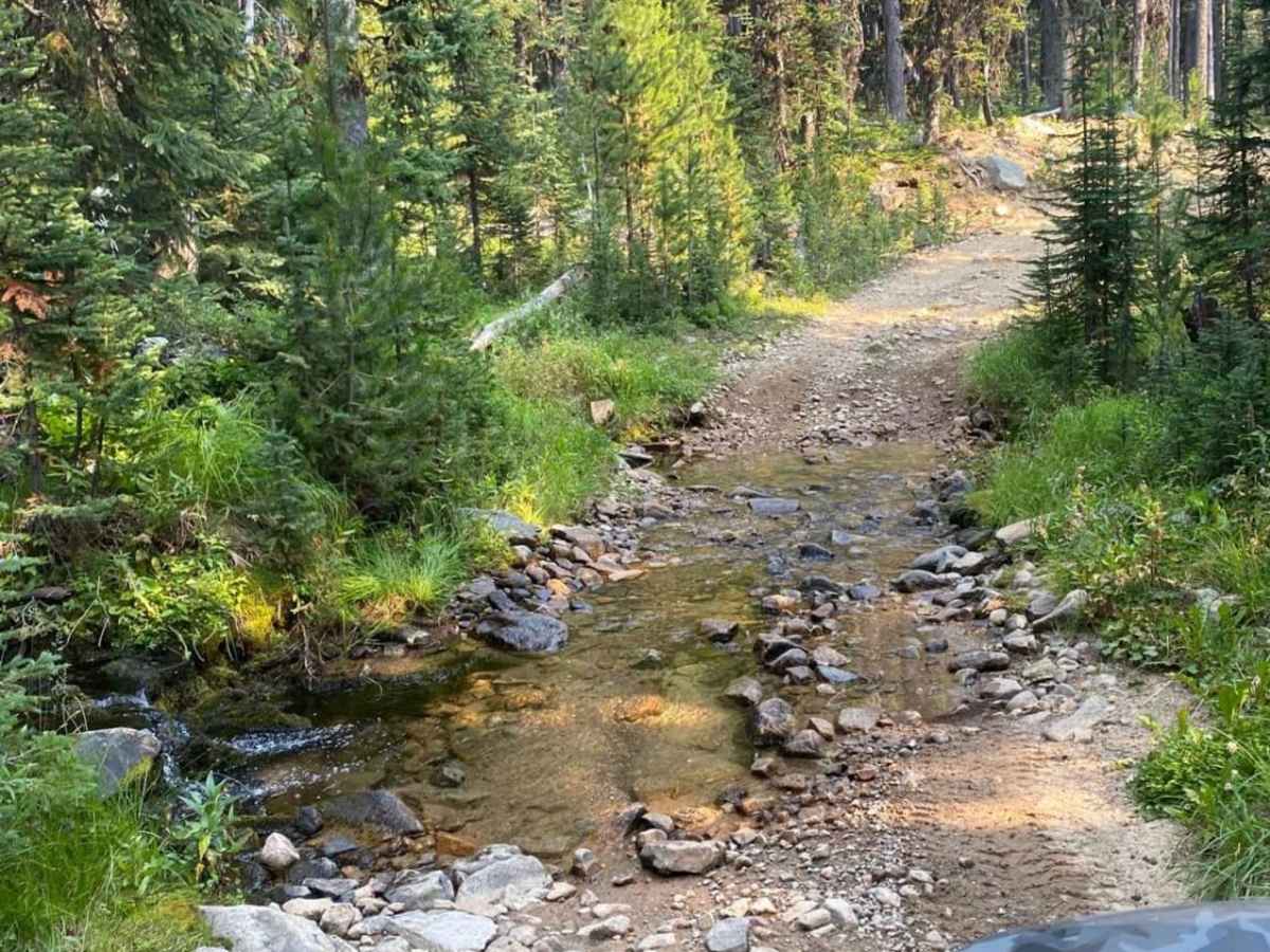 Thompson Lake photo 6