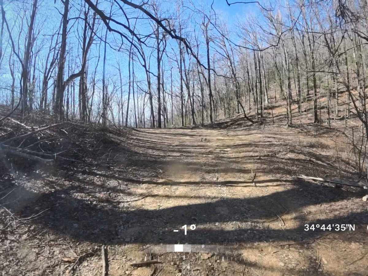 Ann Gap - FS 410 photo 3