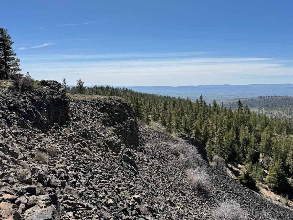 Tyee Road trail photo