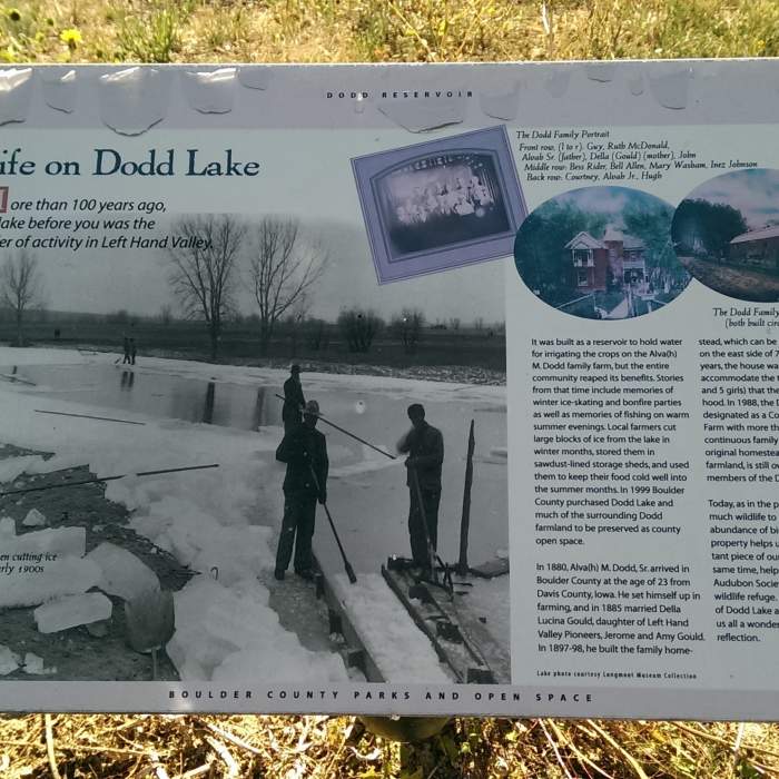 Near Dodd Reservoir Trail