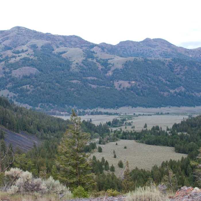 Near Fall Creek Canyon Hike