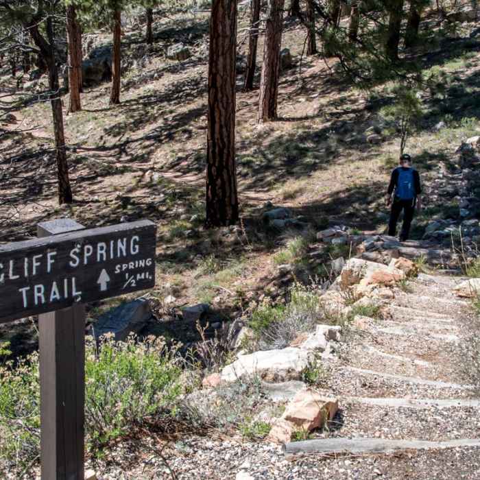 Near Cliff Springs Trail