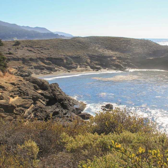 Near Cypress Grove Trail Near Cypress Grove Trail