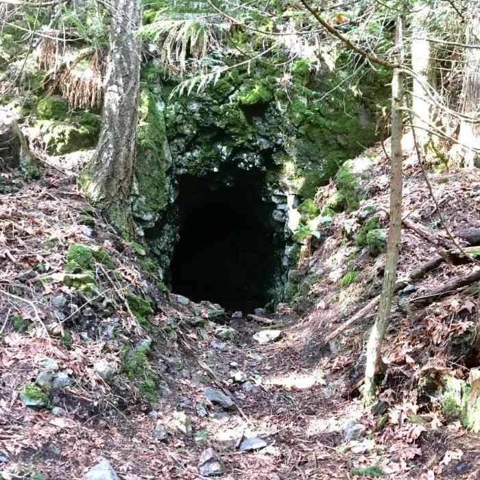 Near 5 Wonders Trail