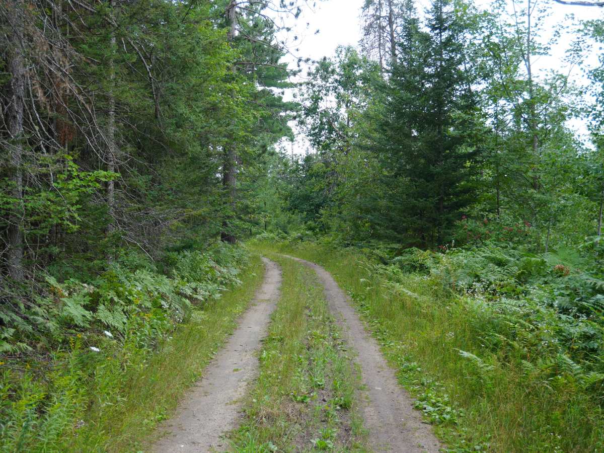 Lost Cabin Trail photo 3