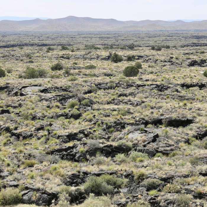 Near Malpais Nature Trail Near Malpais Nature Trail