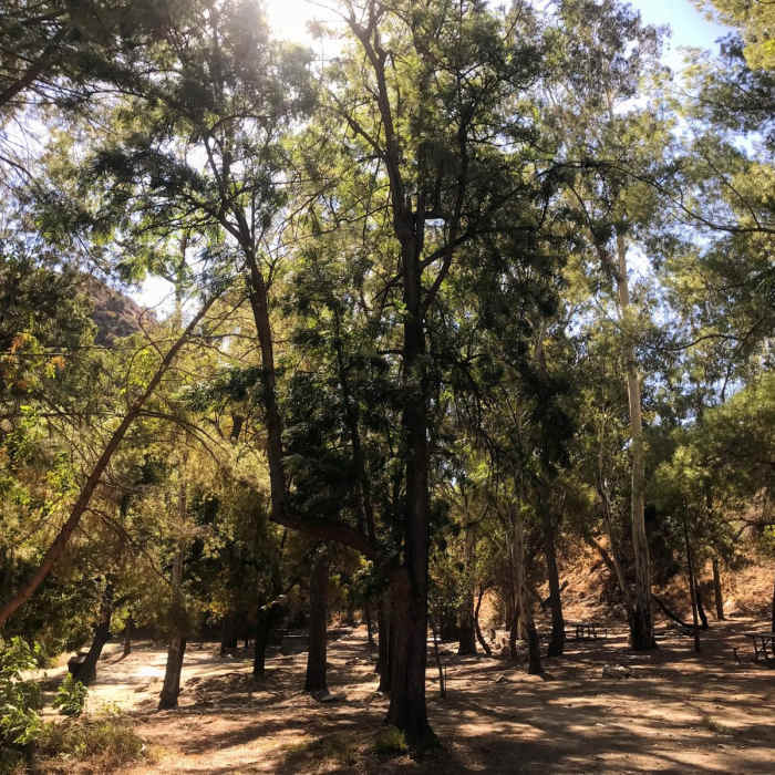 Near San Gabriel Marathon Loop Near San Gabriel Marathon Loop