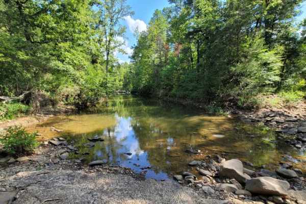 Muddy Creek WMA